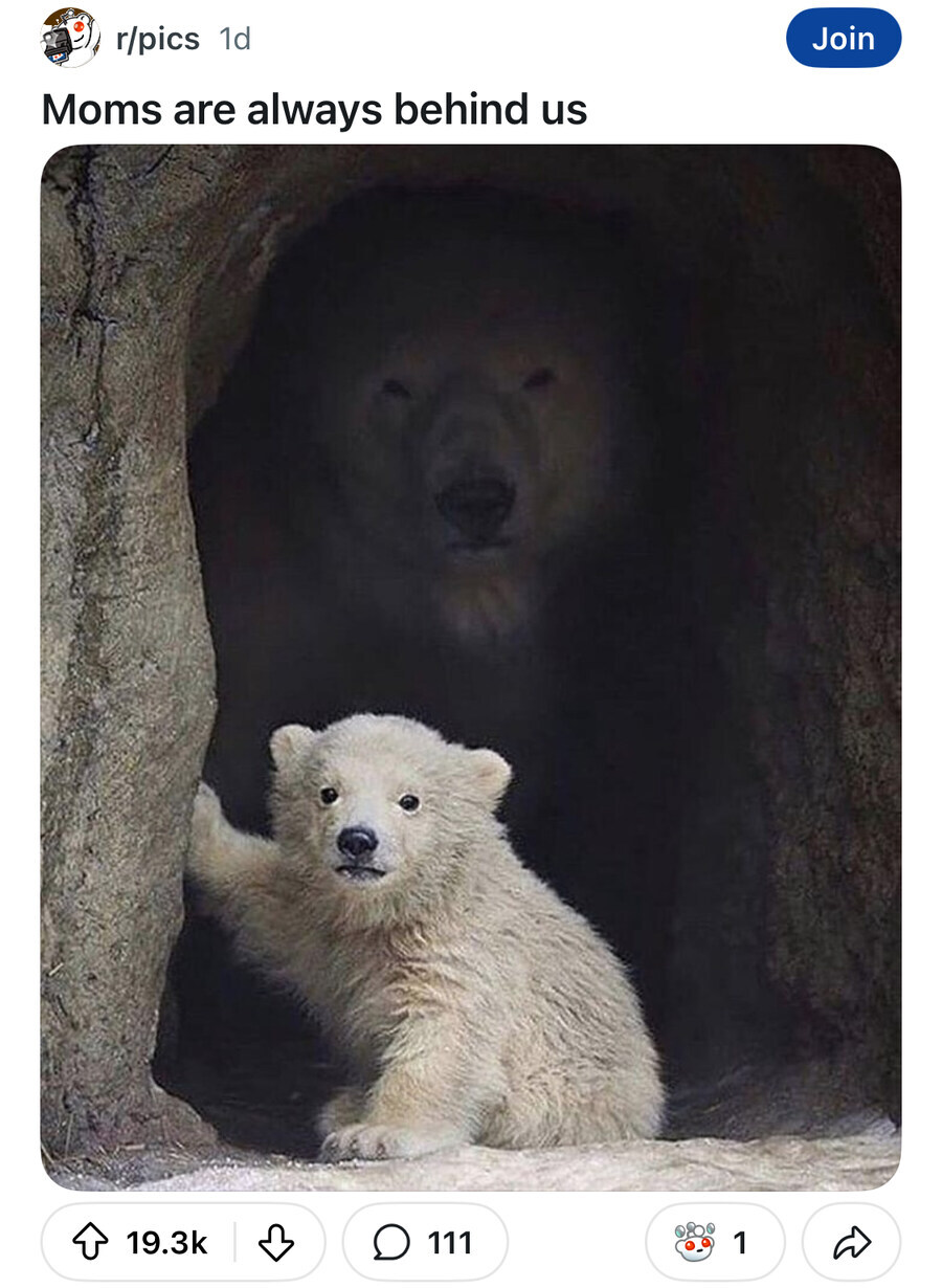 ??? : "엄마는 항상 널 뒤에서 지켜보고있단다...(흐뭇)"_1.jpg