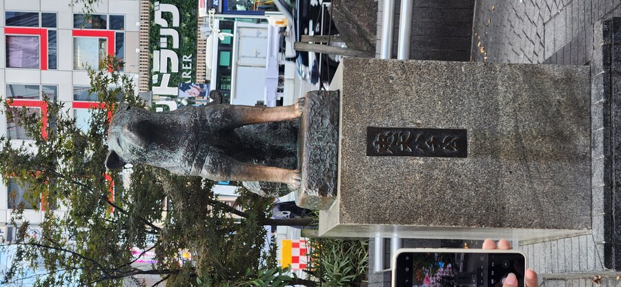 처음으로 혼자 떠난 해외여행 - 도쿄 7편(完) 도쿄도청 전망대 그리고 귀국_20.jpg