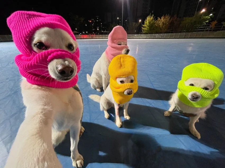 블루카) 코스프레 알몸 단체샷(암캐련들임)_1.webp