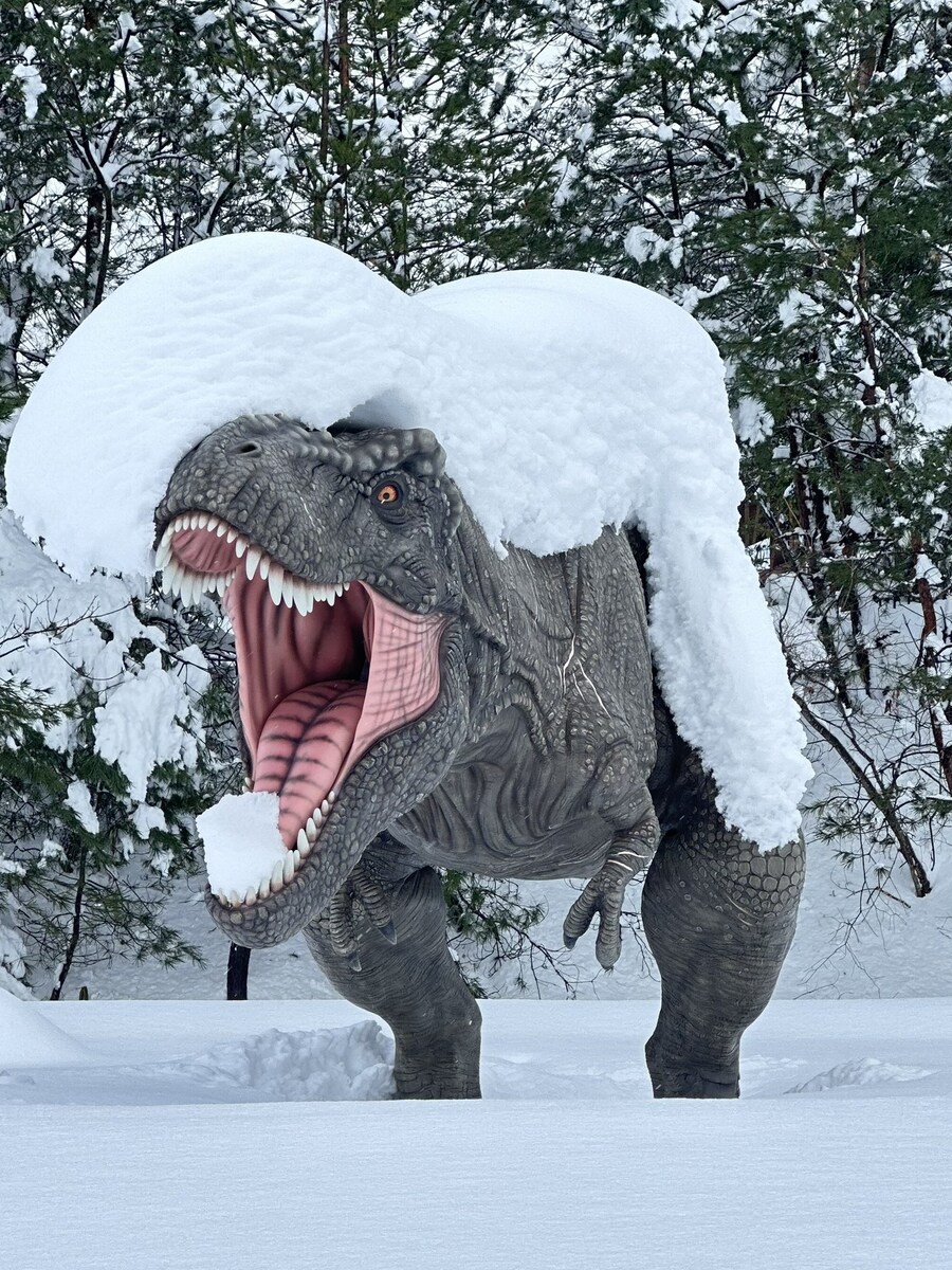 어느 일본박물관의 매년 폭설 풍경_2.jpg