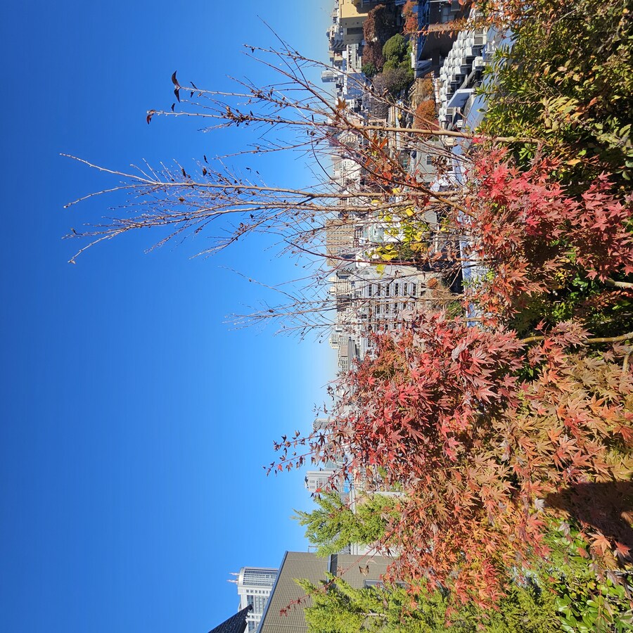 정말 날씨 좋았던 일본 치요다구 3박 4일 (스압주의)_27.jpg