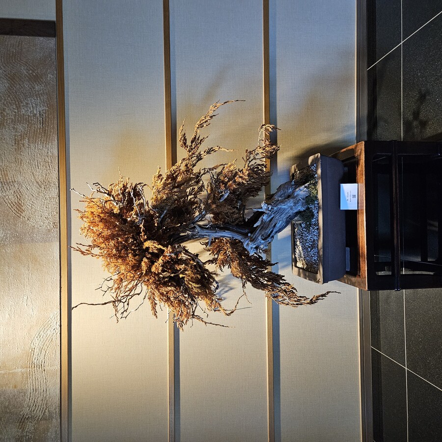 정말 날씨 좋았던 일본 치요다구 3박 4일 (스압주의)_29.jpg