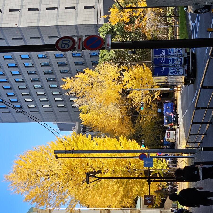 정말 날씨 좋았던 일본 치요다구 3박 4일 (스압주의)_37.jpg