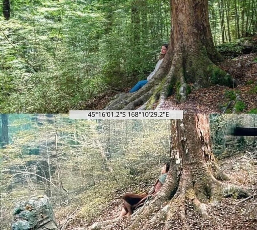 [영화] 반지의 제왕 촬영지를 방문한 해외팬_5.jpg