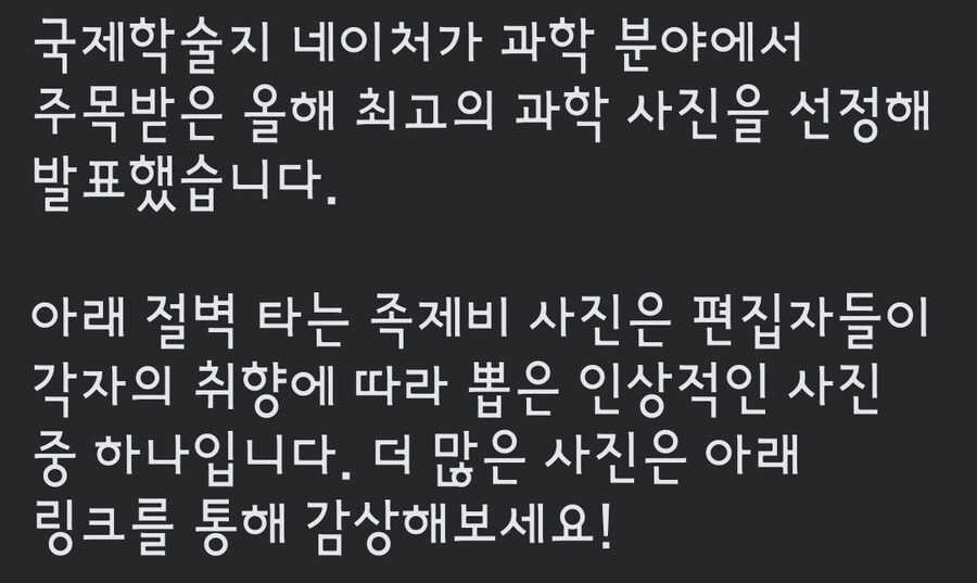 네이처 올해의 과학사진_1.jpg