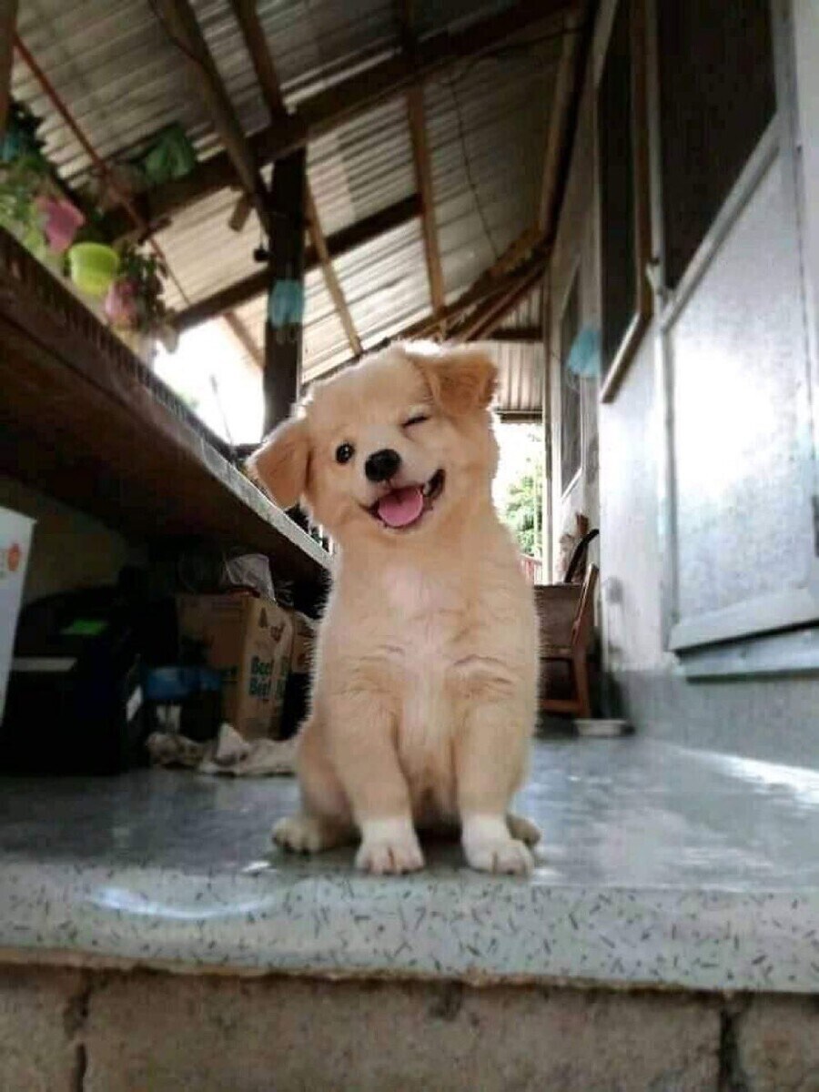 혈압주의)'근첩들의 실체'라고 불리는 짤의 진실 jpg._9.jpg