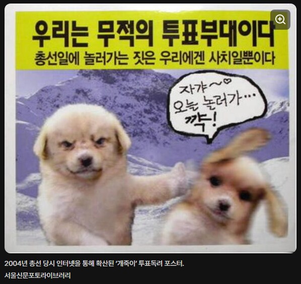 개죽이 그럼죽어 짤 찾다가 알게된거_4.png
