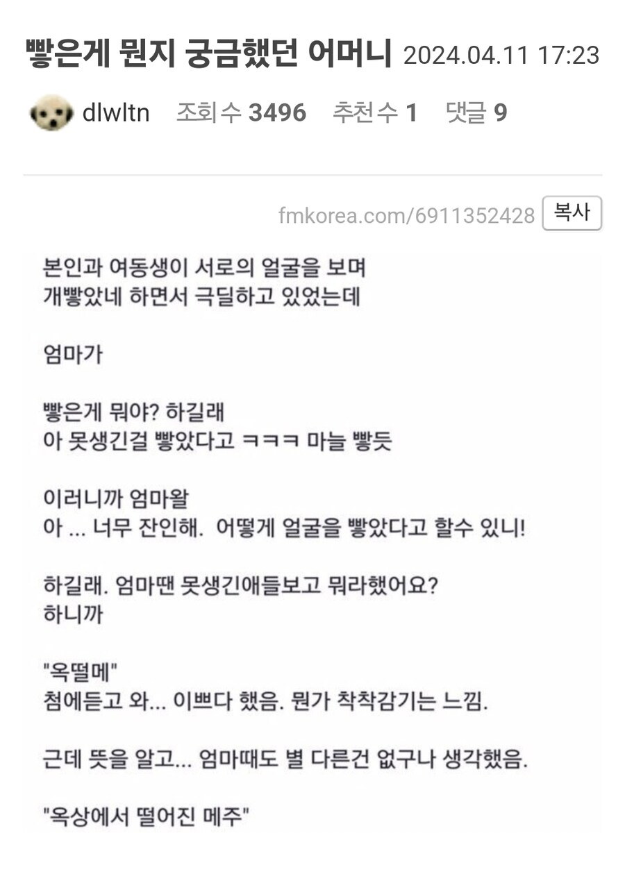 빻은게 뭔지 궁금했던 어머니.jpg_1.jpg