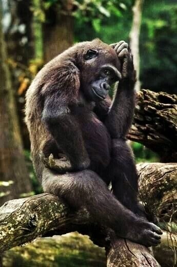 일반인들이 숙련된 파이터를 상대하는 방법_2.jpg