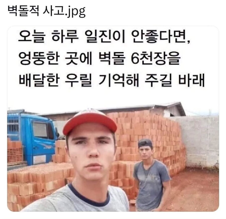 벽돌적 사고.jpg_1.jpg