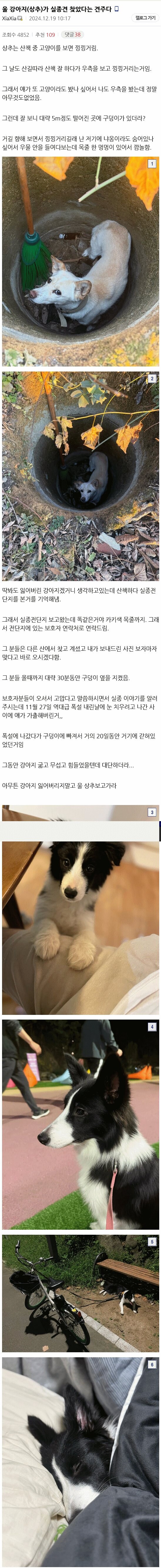 실종견을 구조한 강아지 썰_1.jpg