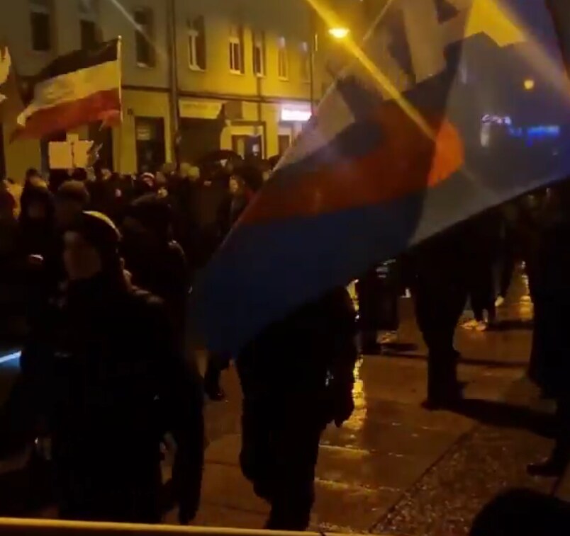 독일 이민자 추방 시위의 위험성은 극우들이 그걸 이용하기 때문임_1.png