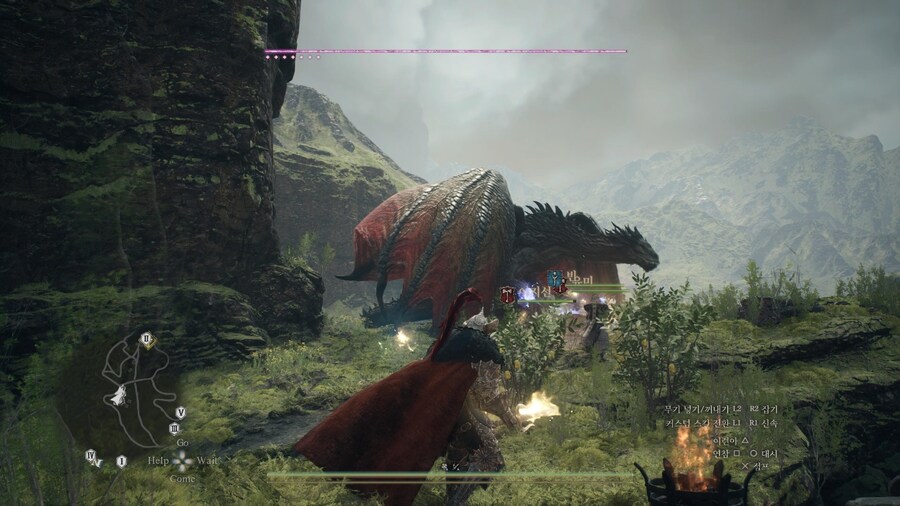 용혈정 파밍 및 대형몬스터 소재 파밍용 리젠 장소_12.jpg