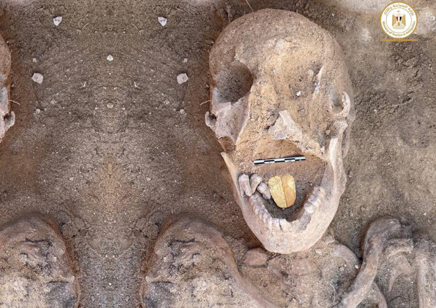 이집트 발굴 근황.news_5.jpg