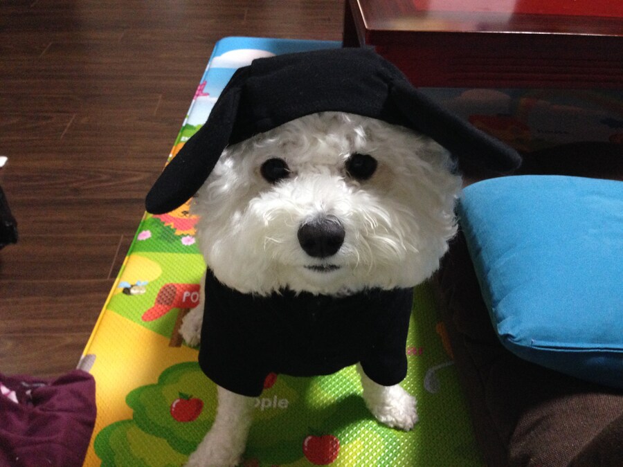 바나가 강아지별로 떠났습니다. (※스압 데이터 주의)_28.jpg