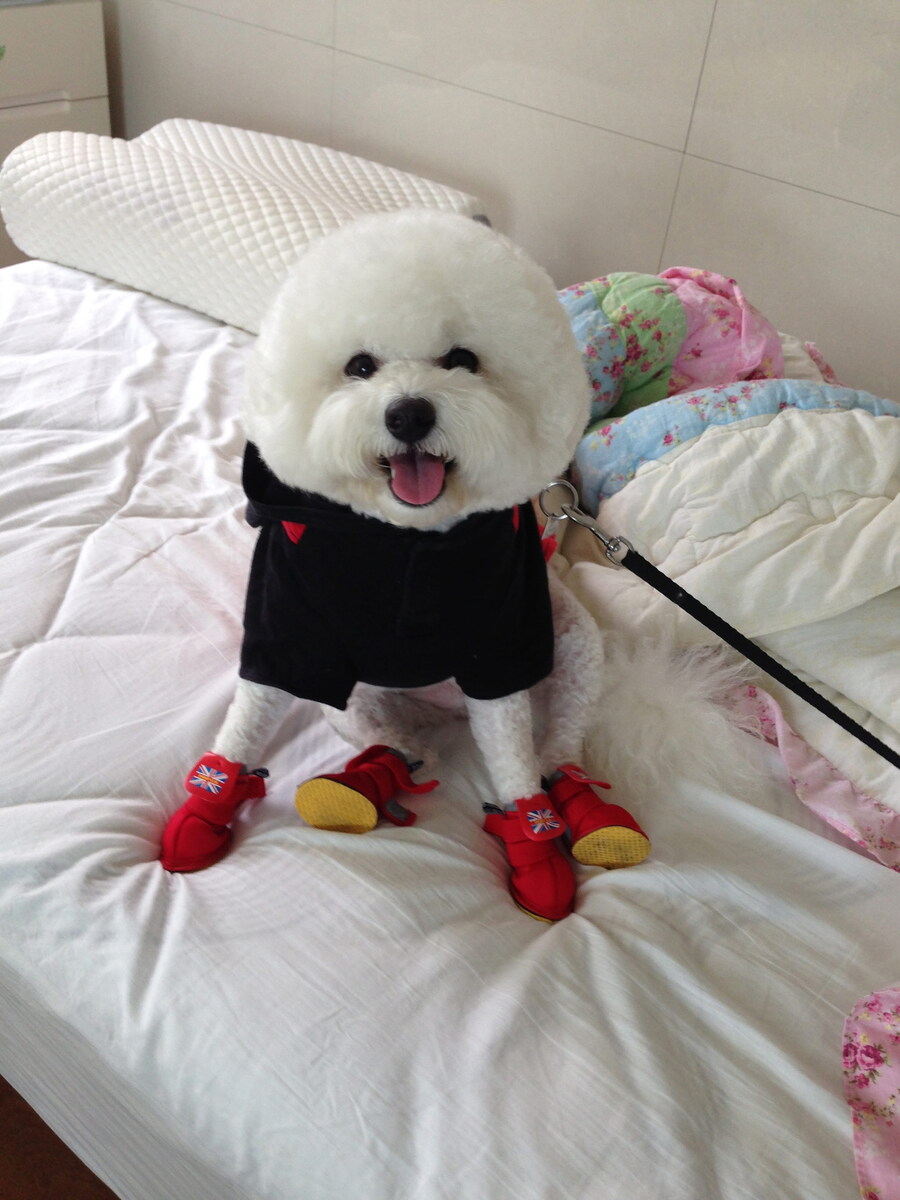 바나가 강아지별로 떠났습니다. (※스압 데이터 주의)_33.jpg