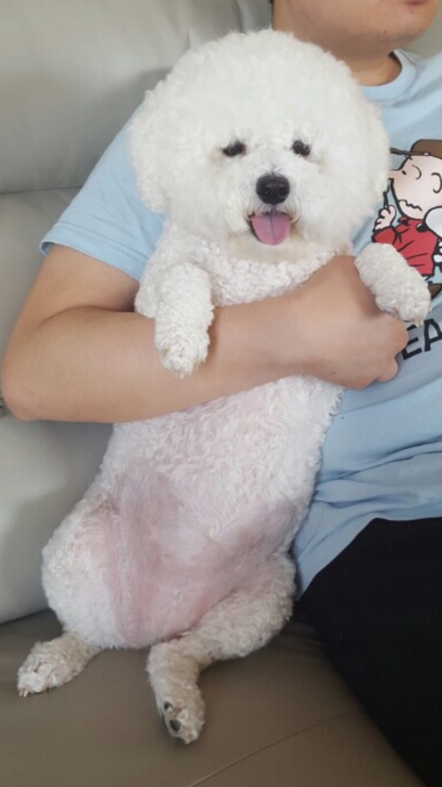 바나가 강아지별로 떠났습니다. (※스압 데이터 주의)_45.png