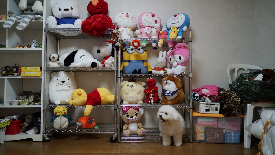 바나가 강아지별로 떠났습니다. (※스압 데이터 주의)_53.jpg