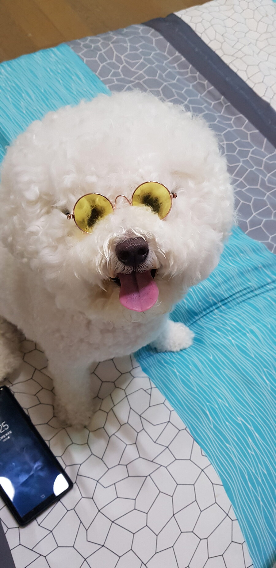 바나가 강아지별로 떠났습니다. (※스압 데이터 주의)_82.jpg