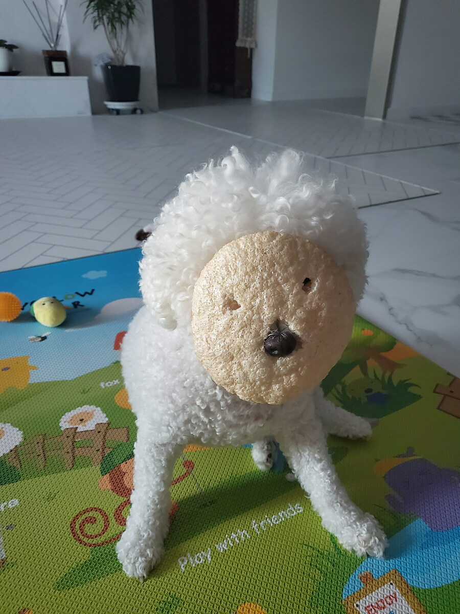 바나가 강아지별로 떠났습니다. (※스압 데이터 주의)_125.jpg