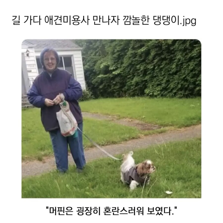 NPC가 돌아 다닌다!_1.jpg