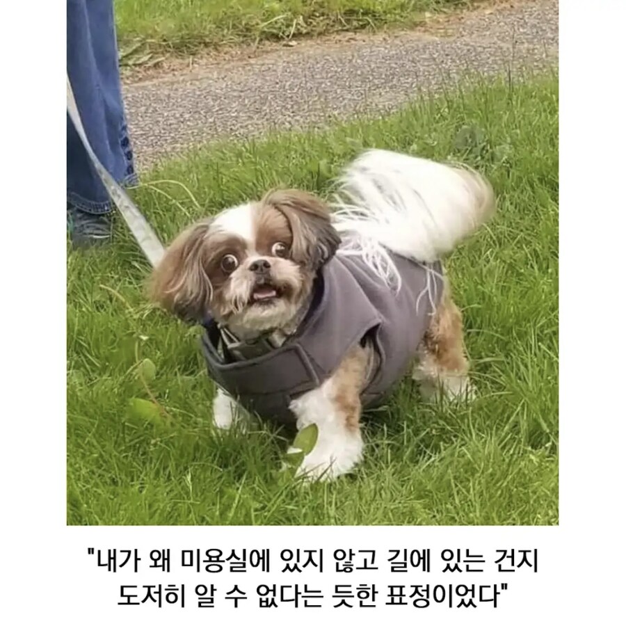 NPC가 돌아 다닌다!_2.jpg