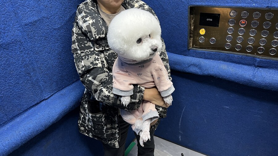 바나가 강아지별로 떠났습니다. (※스압 데이터 주의)_175.jpg