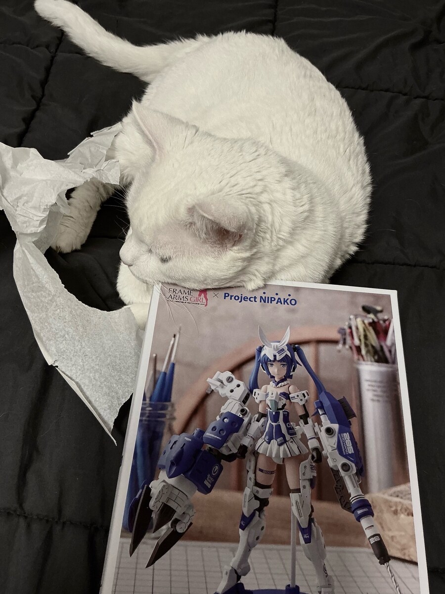 고양이와 미소녀다_1.png