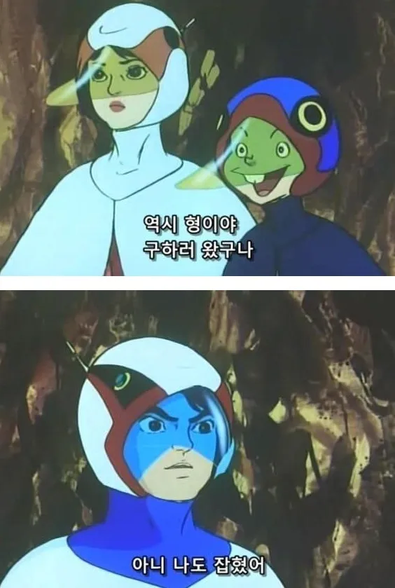 태풍으로 제주도에 고립된 대학생_2.webp