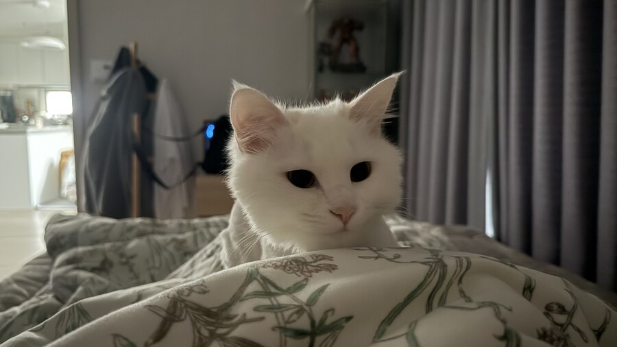 작성자 현 상황_1.jpg