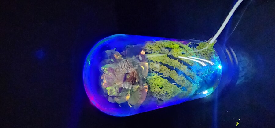 인테리어무드등(자작(feat. 금시난쥬,금마징가)_19.jpg