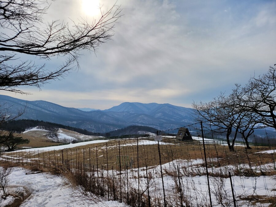 #선자령 순환길_8.jpg