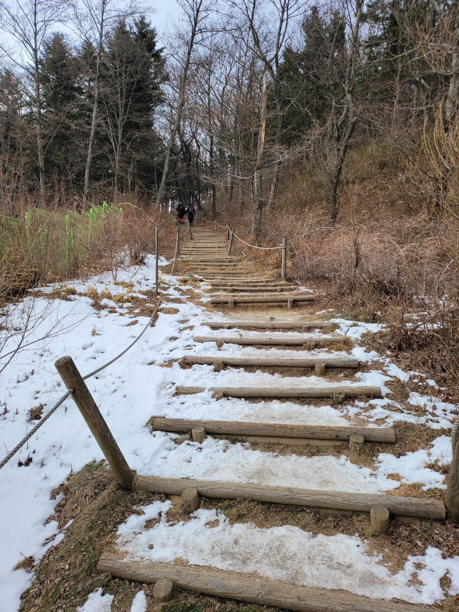 #선자령 순환길_3.jpg