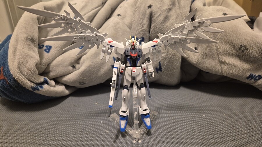 자유의 날개 2개_12.jpg