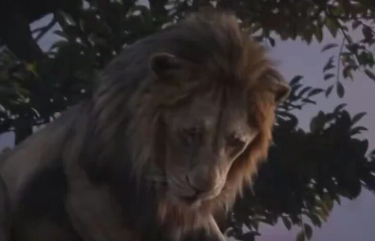 디즈니) 무파사 클립_1.png