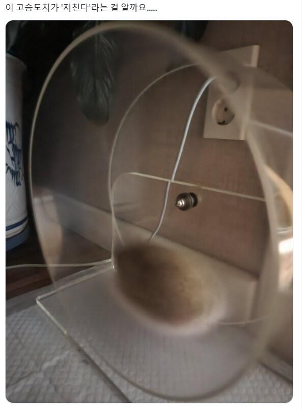 소닉~ 소닉~ 바람돌이 소닉~_1.png