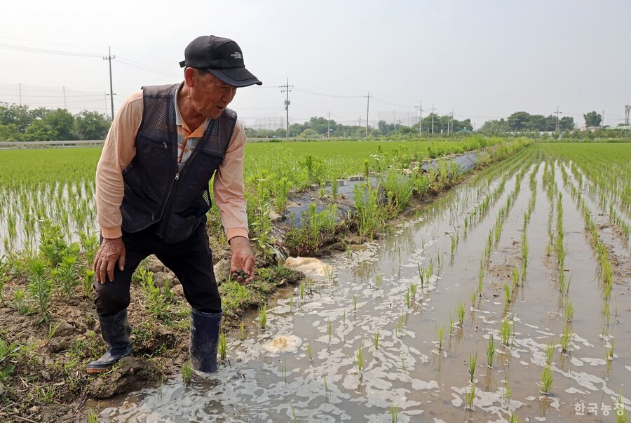 사실 몇몇 시골 드립치는 애들 기준에 따르면_2.jpg