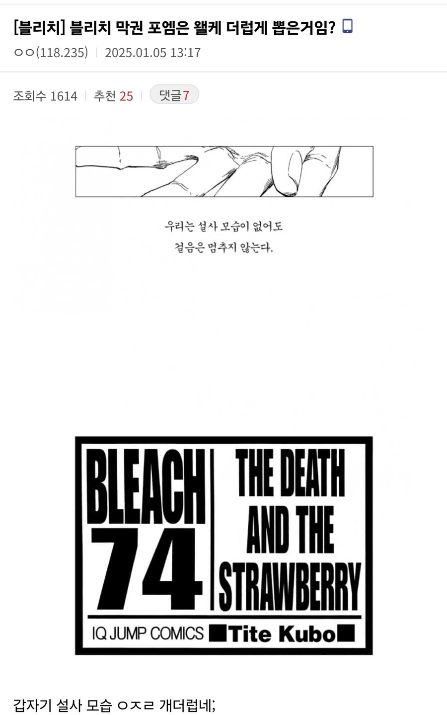 블리치 막권 포엠은 왤케 더럽게 뽑은거임?_1.jpg