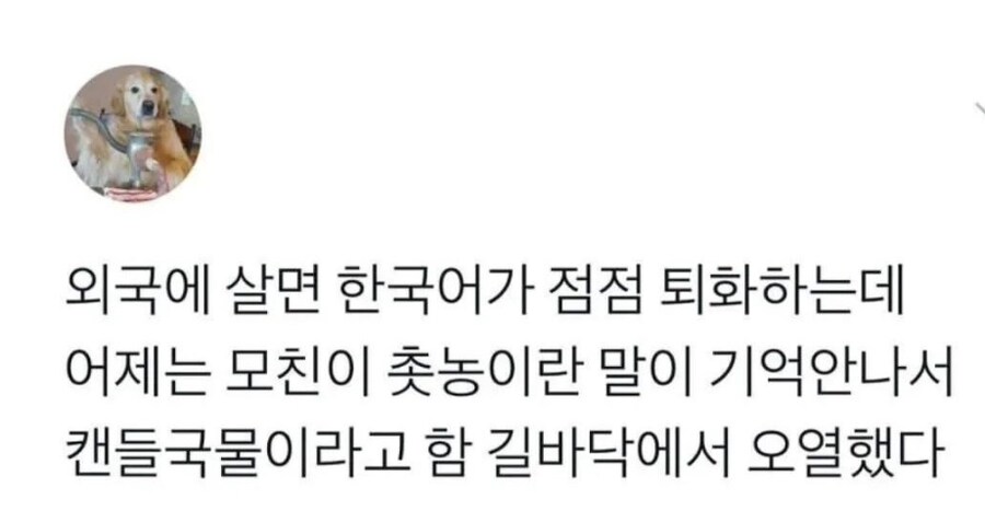 외국 살면 한국어가 퇴화함.JPG_1.png