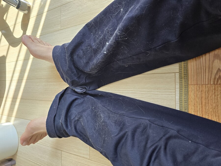 고양이 키우고 싶으신 분들 에게_1.jpg