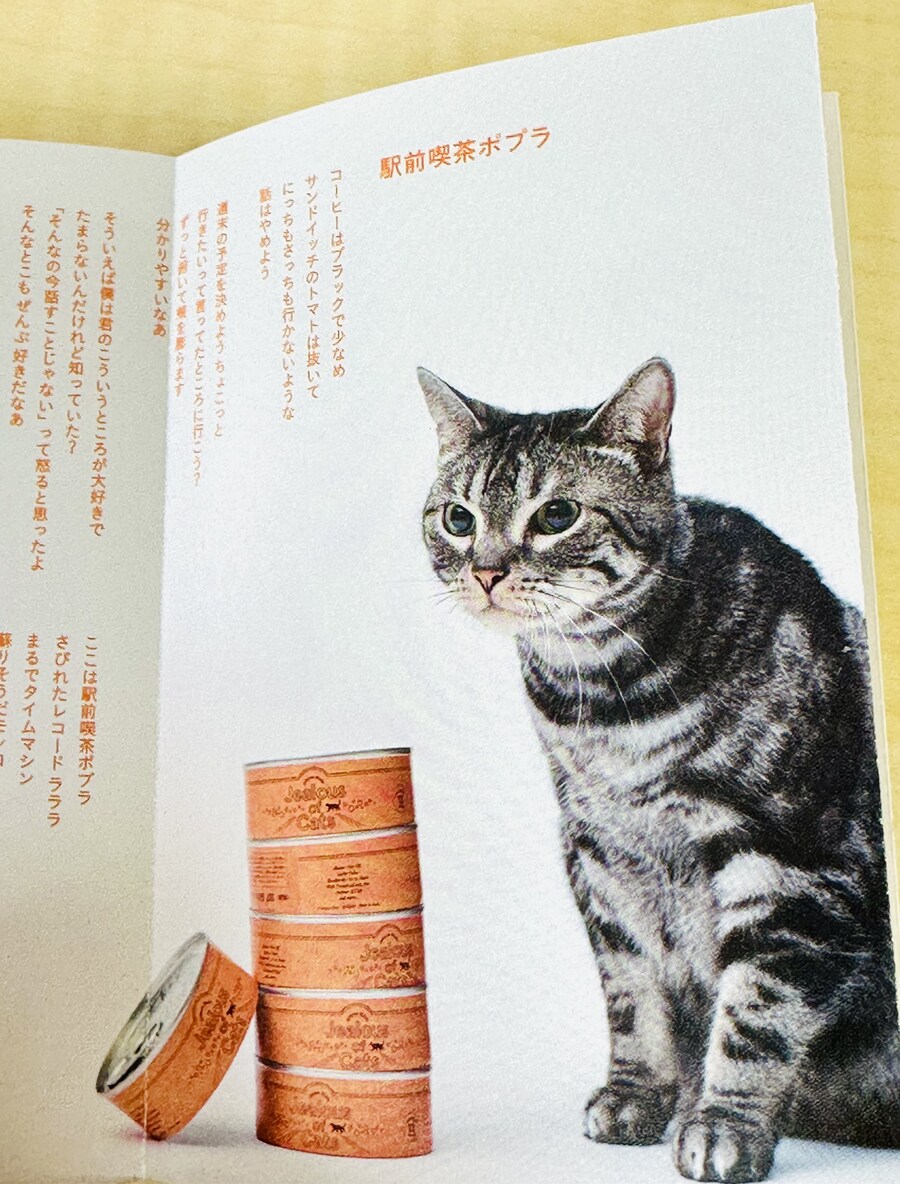 아이묭 5집 카세트 테이프_8.jpg