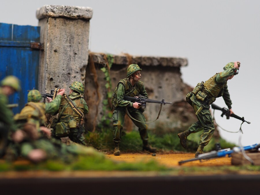 Battle of Hue City_11.jpg