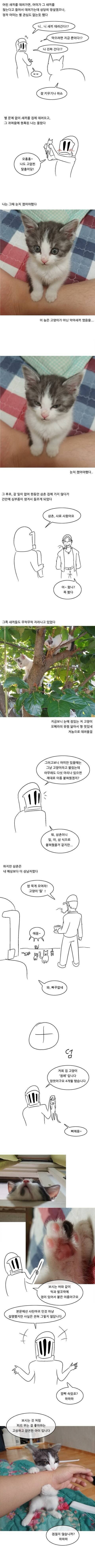 경상도 삼촌과 고양이 만화_2.jpg