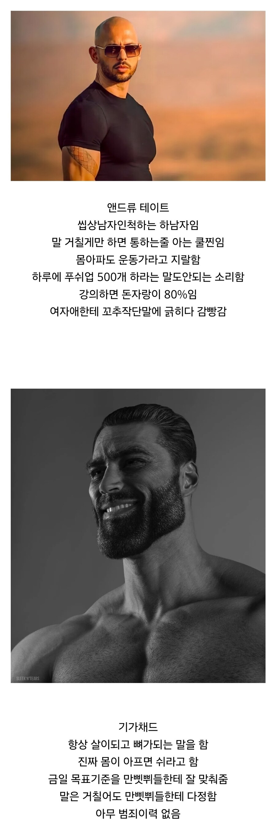 가짜 상남자 VS 진짜 상남자_1.jpg