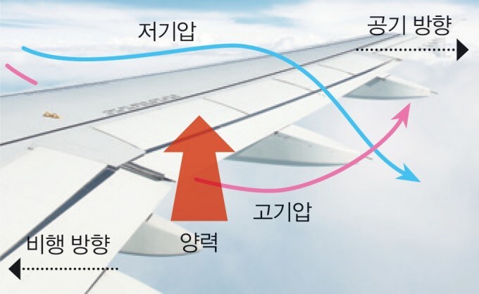 교과서에서 알려주지만 의외로 정답이 아닌거_1.jpg