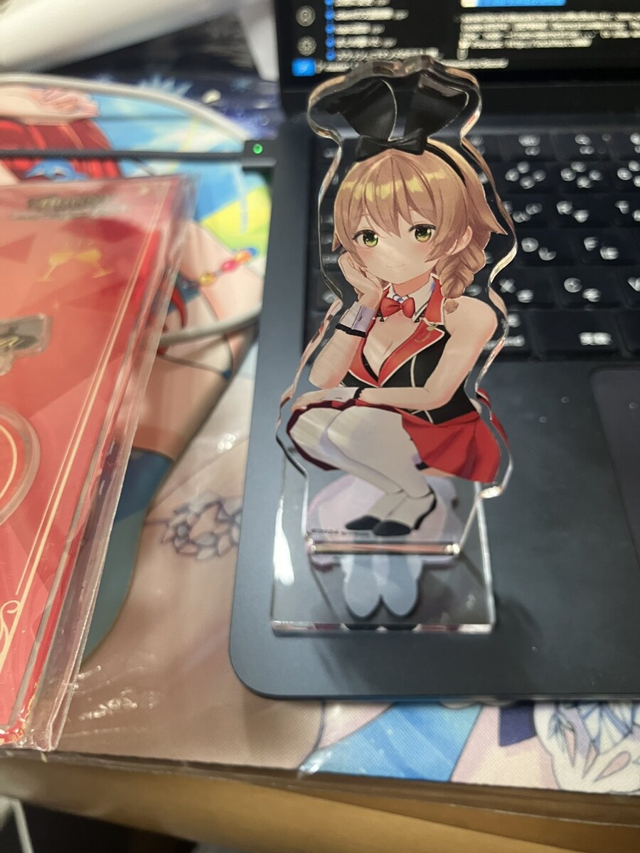 요즘 아크릴 스탠드 기술력 근황.JPG_1.jpg