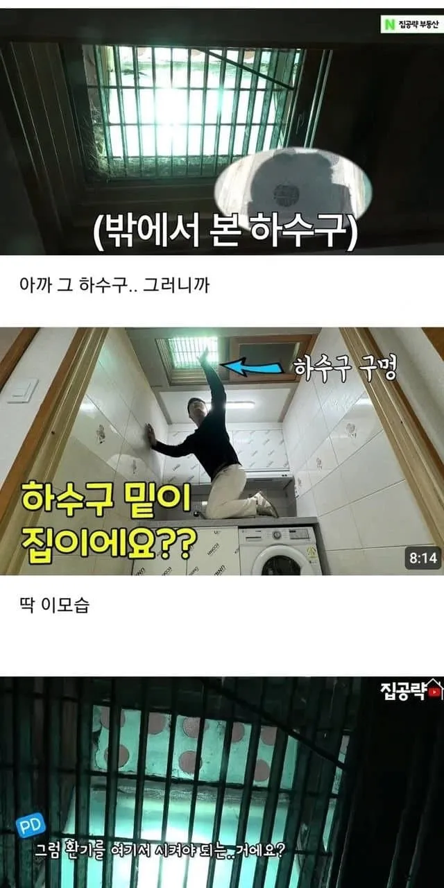 반지하 레전드_3.webp