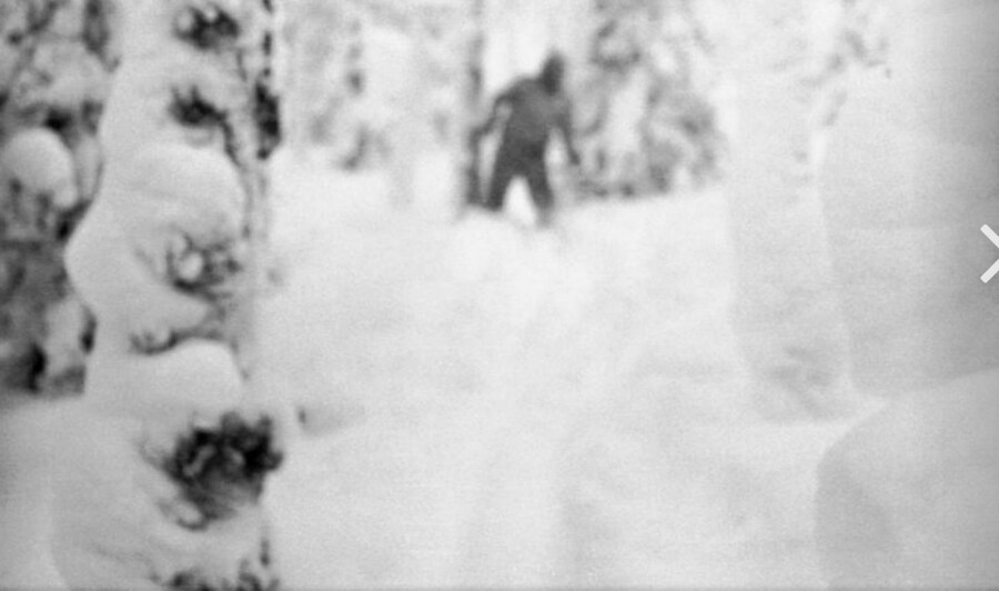 디아틀로프 탐사대원이 마지막으로 찍었다는 설인 사진?_2.jpg