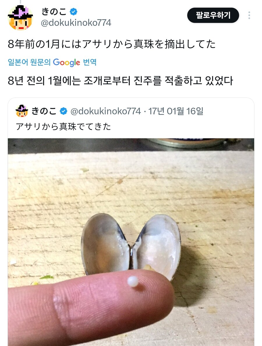 생굴김치 먹다 이빨 깨진사람_2.jpg