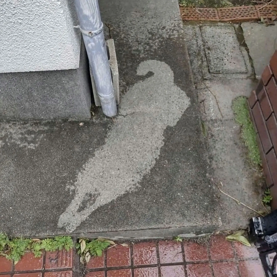 기지게 하다 물벼락_1.webp